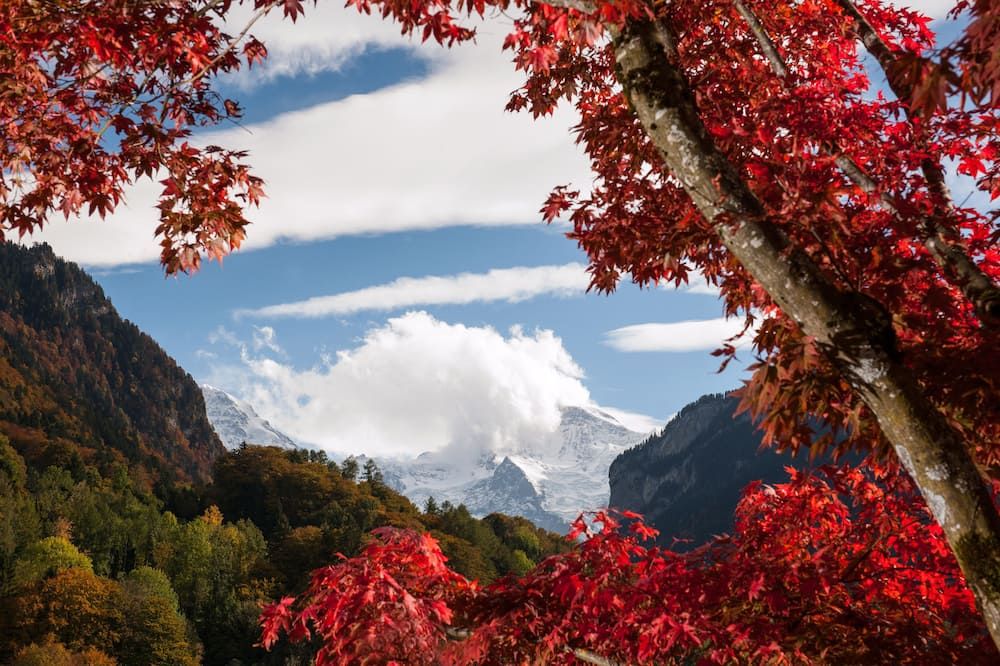 Outdoors view
