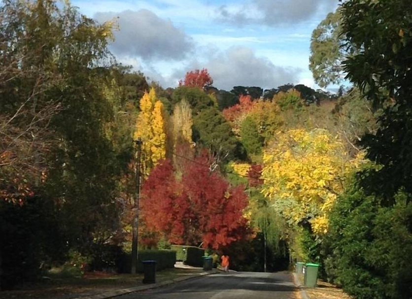 Outdoors view Photo
