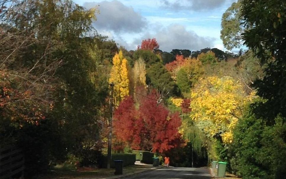 Outdoors view Photo