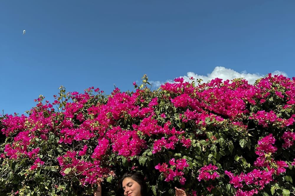 Outdoors view