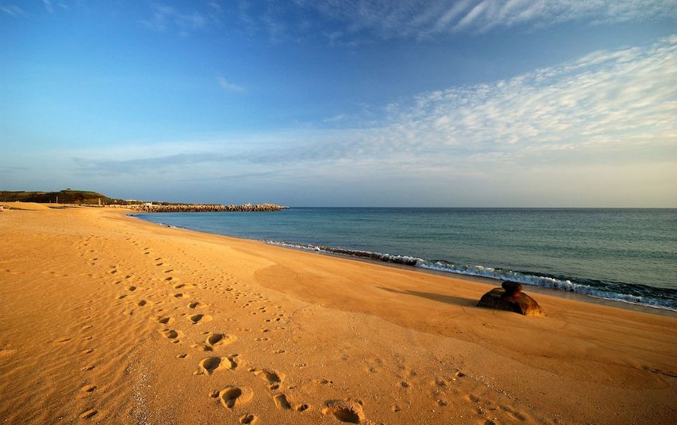 Beach Photo