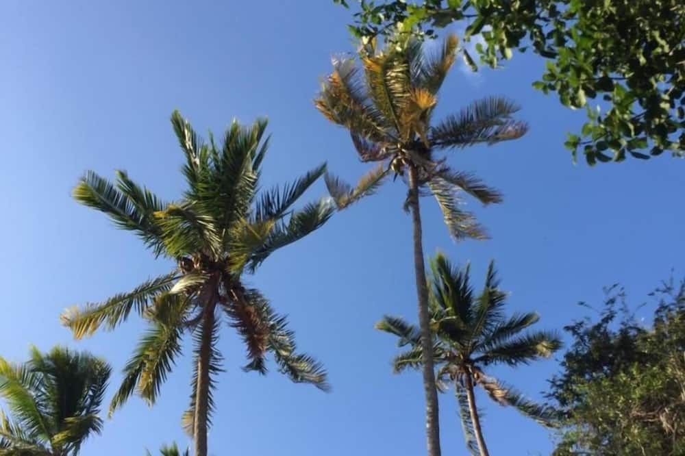 Outdoors view