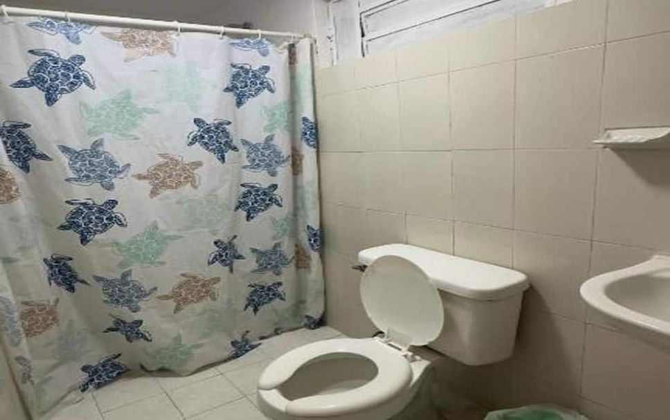 Other Photo