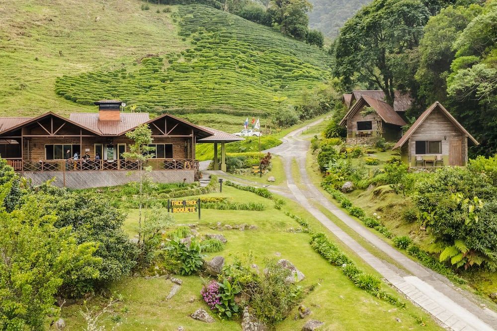 Outdoors view
