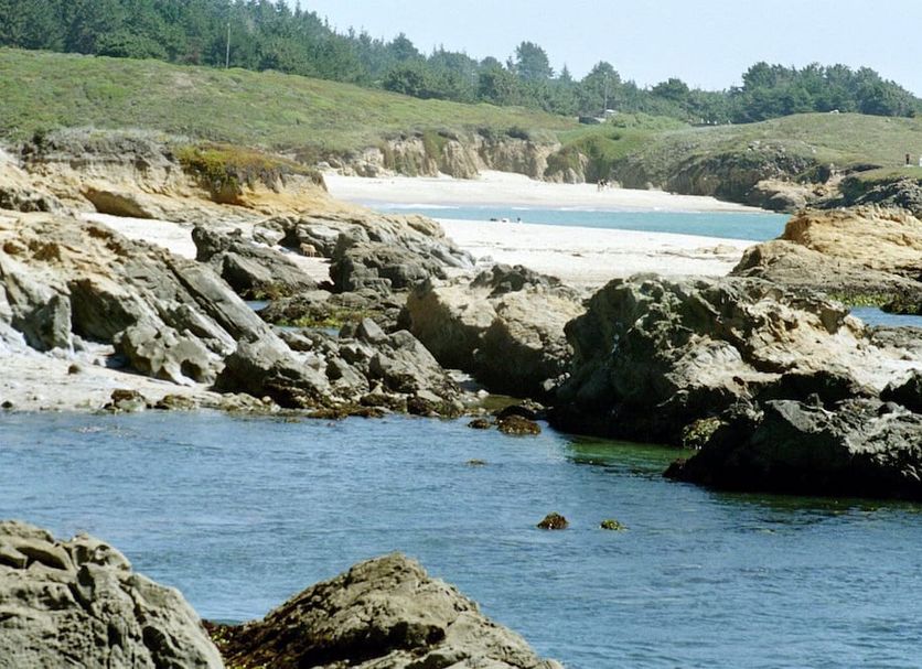 Other Photo