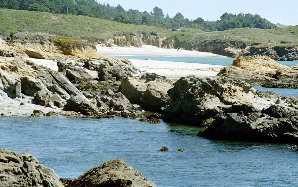 Other Photo
