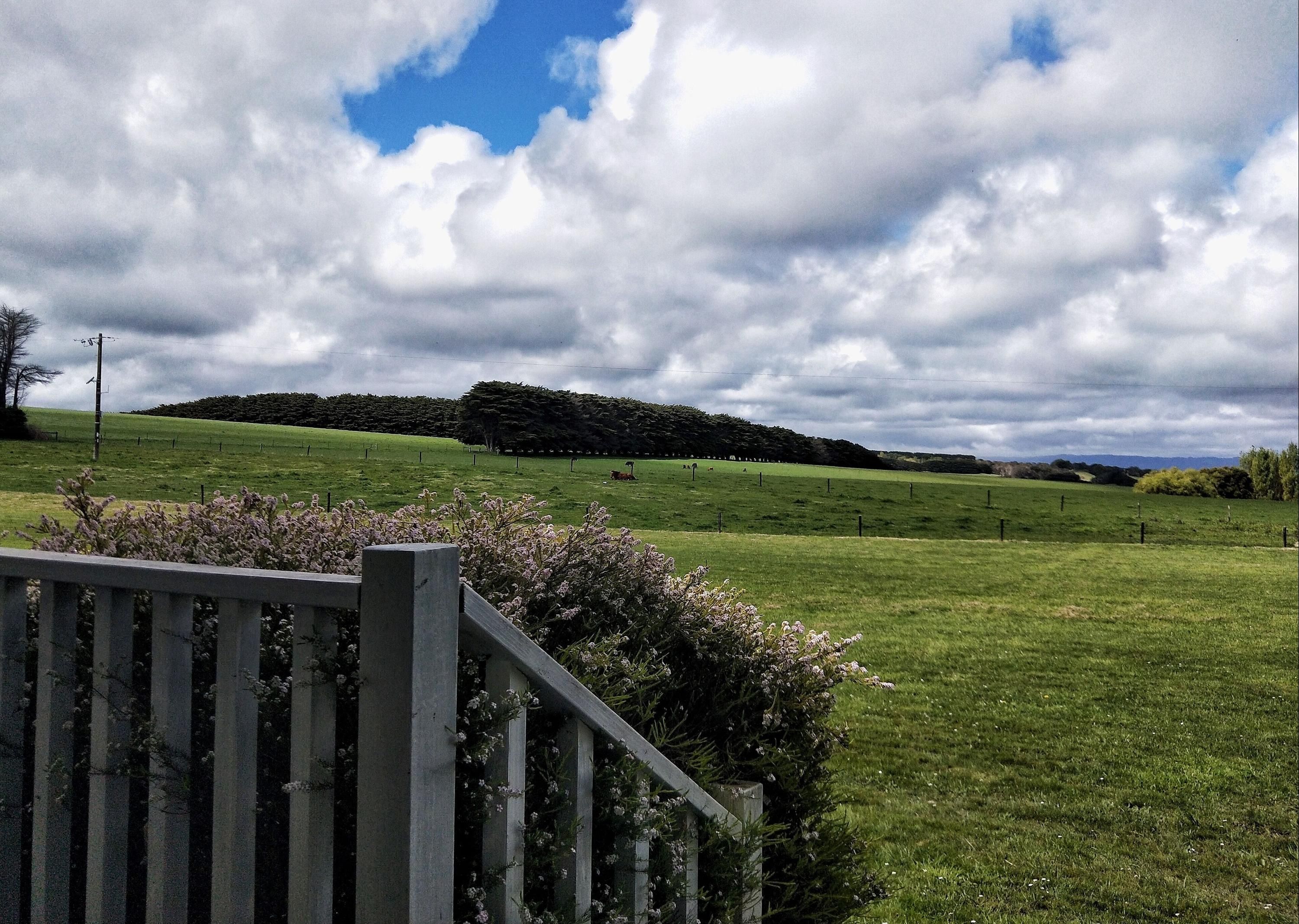 Outdoors view
