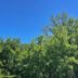 Outdoors view