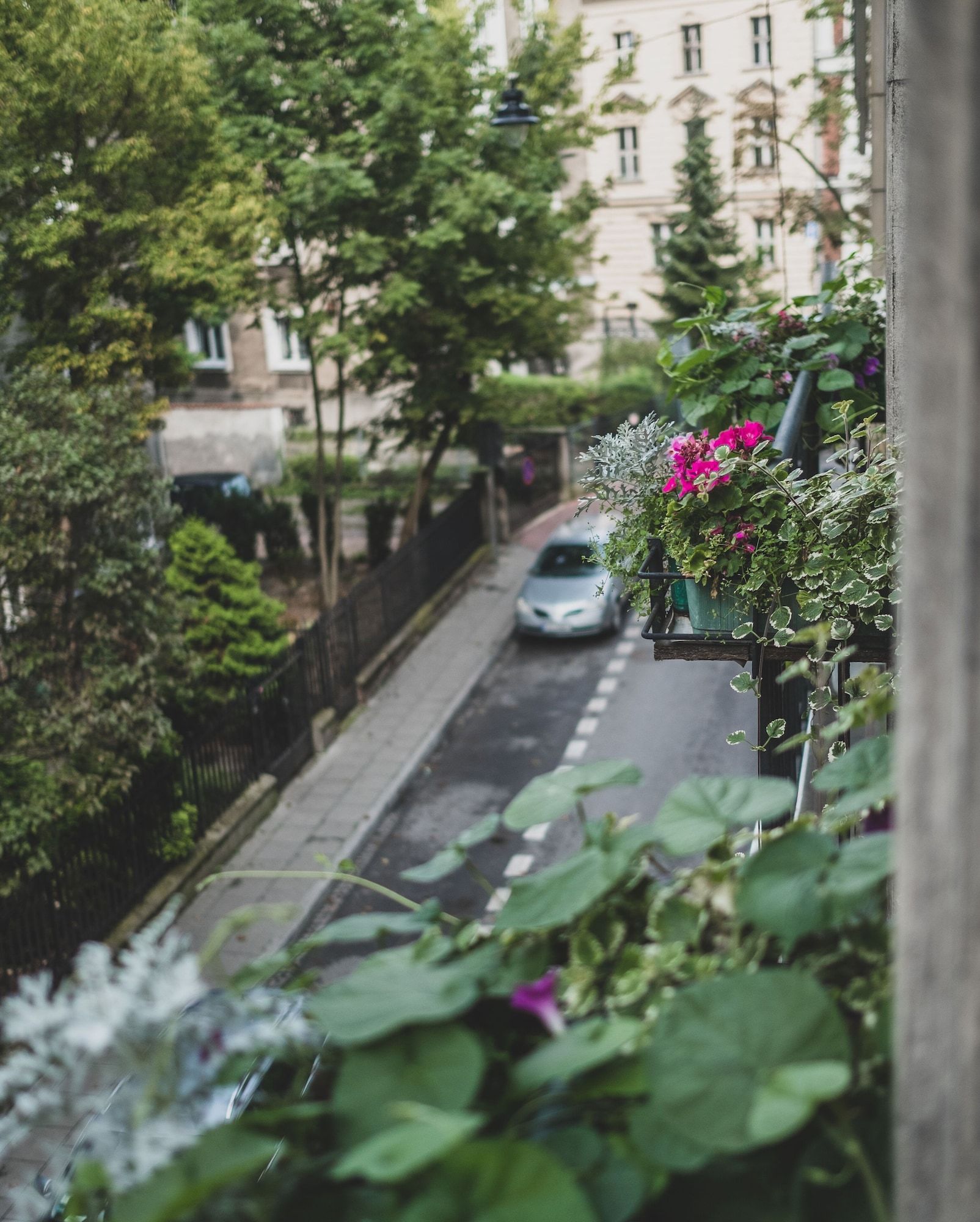 Outdoors view