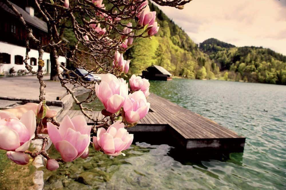 Outdoors view
