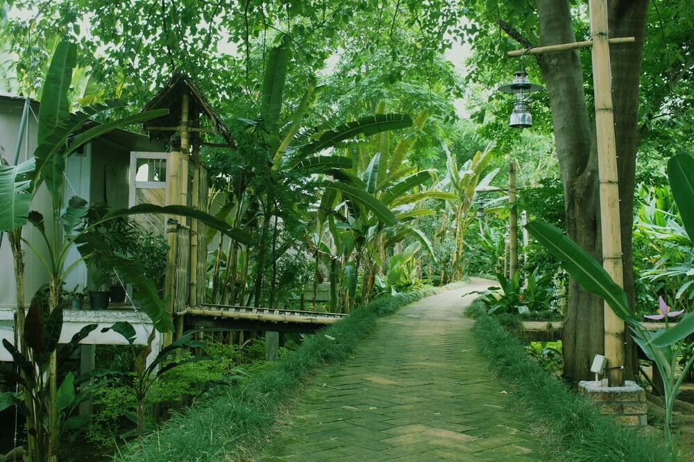 Outdoors view