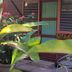 Outdoors view