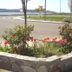 Outdoors view