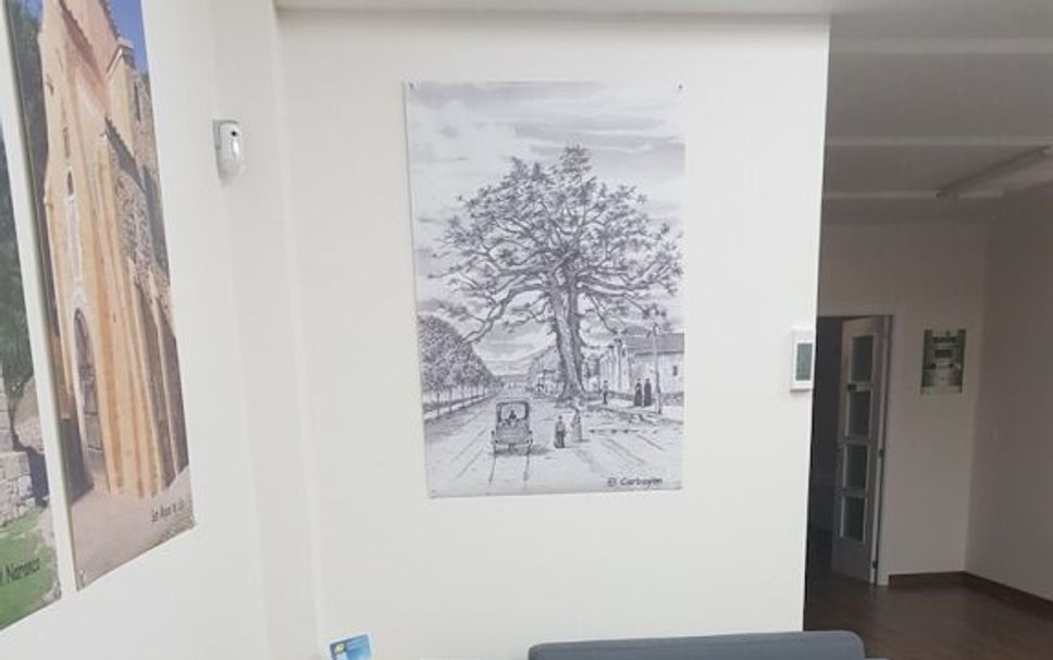 Living room Photo