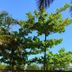 Outdoors view
