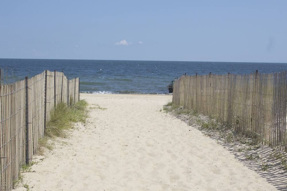 Beach Photo