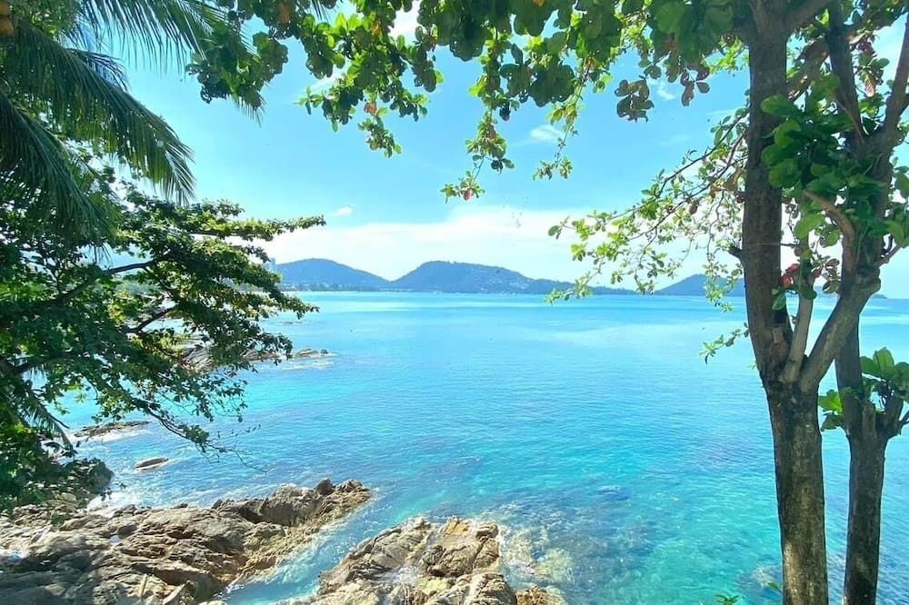 Other Photo