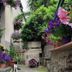 Outdoors view