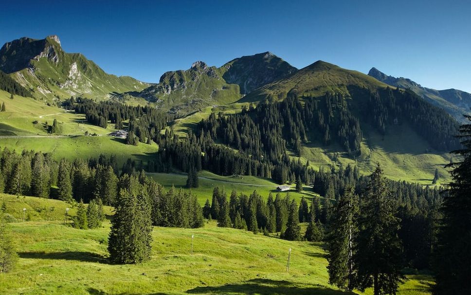 Outdoors view Photo