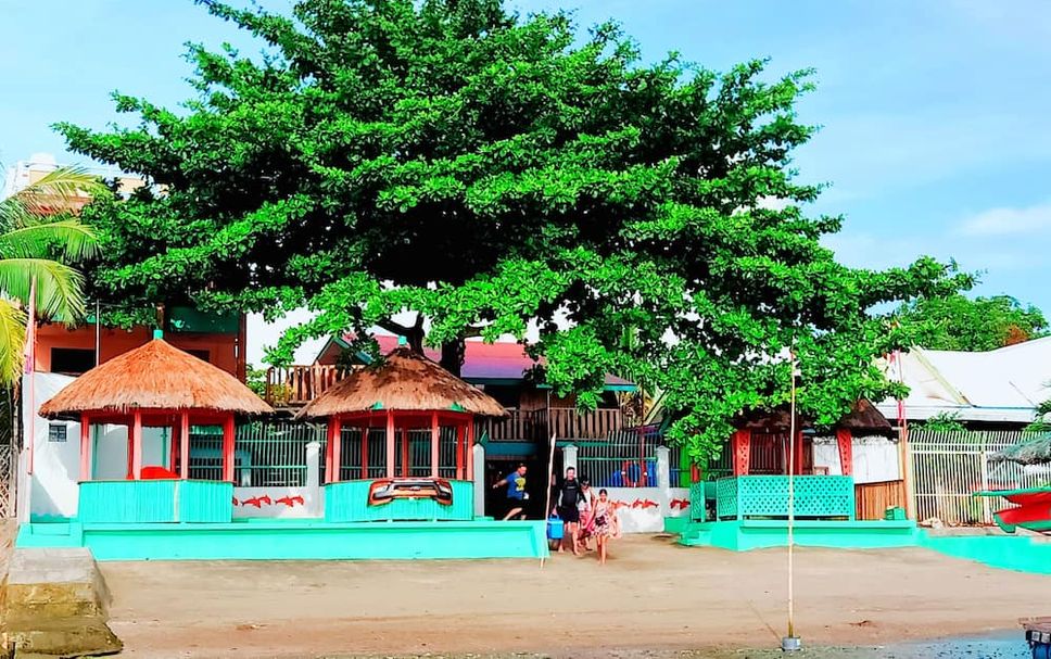 Other Photo