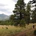 Outdoors view