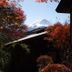 Outdoors view
