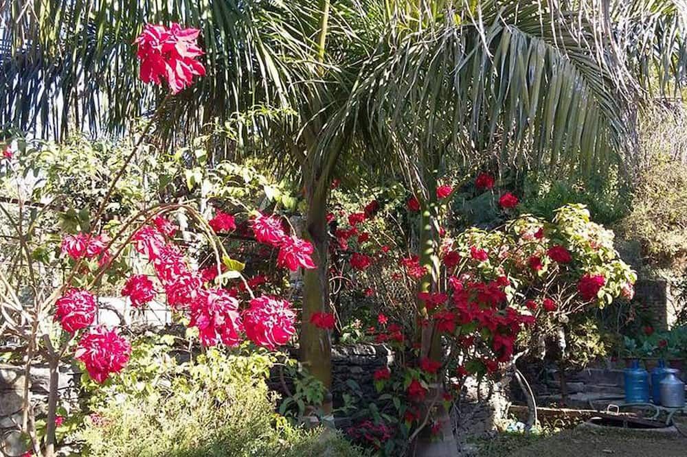 Outdoors view
