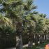Outdoors view