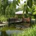 Outdoors view