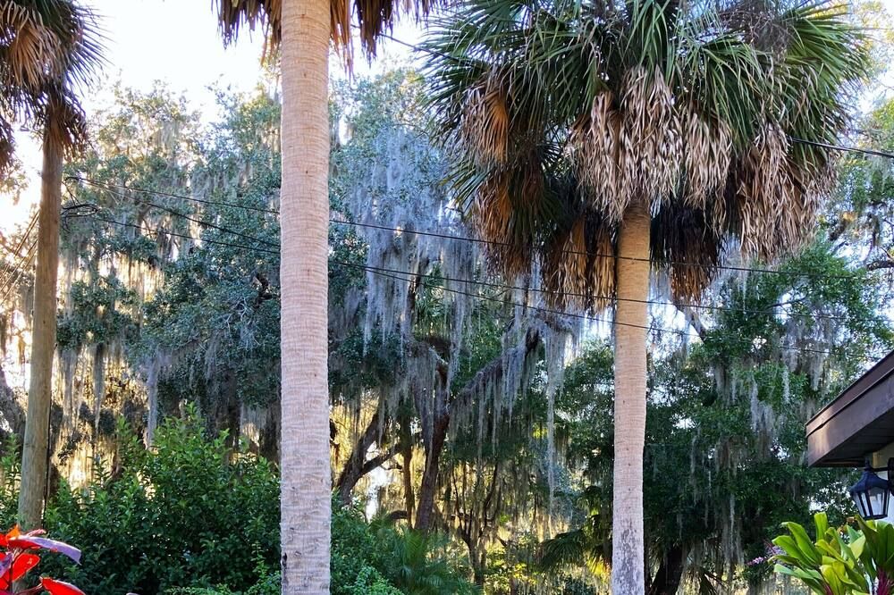 Outdoors view