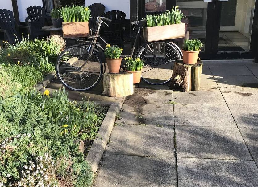 Patio Photo