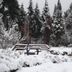 Outdoors view