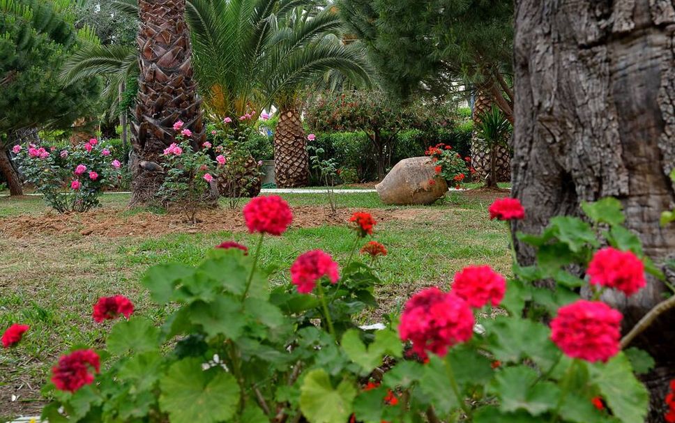 Outdoors view Photo