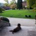 Outdoors view