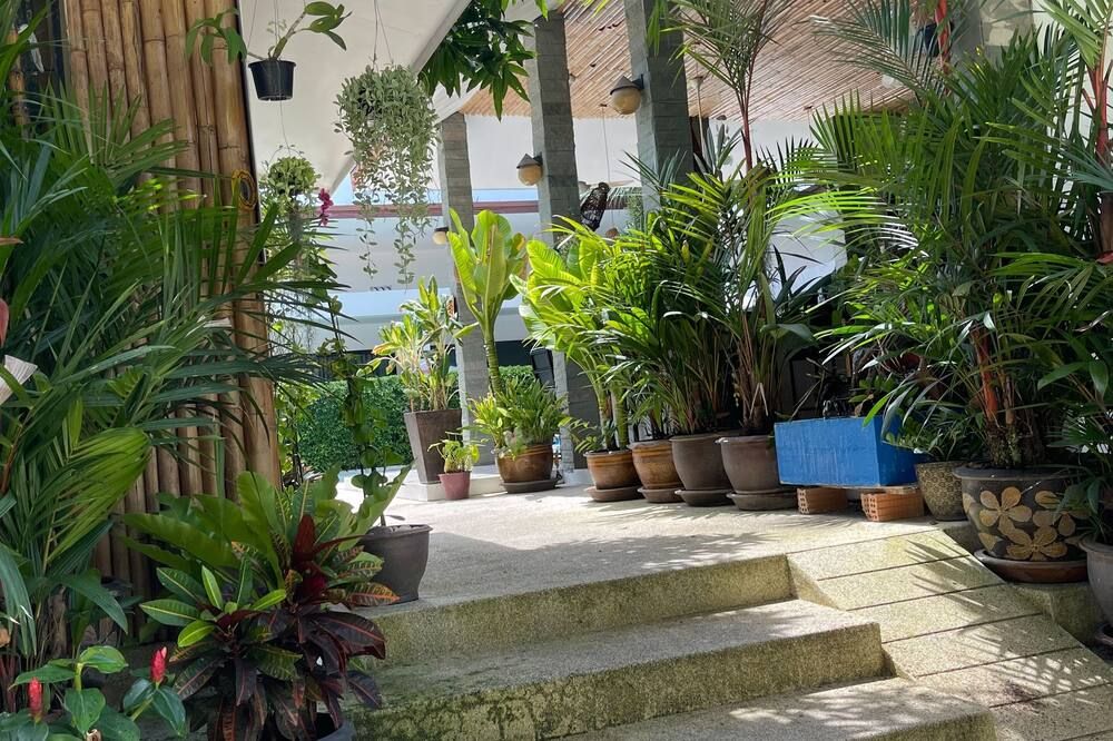 Outdoors view