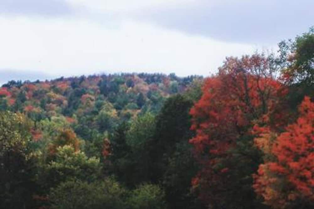 Outdoors view