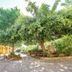 Outdoors view