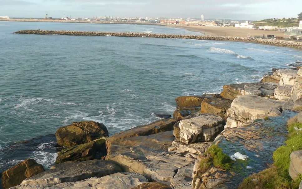 Other Photo