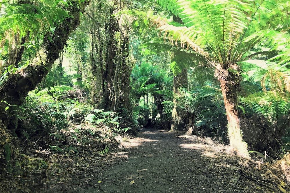 Outdoors view