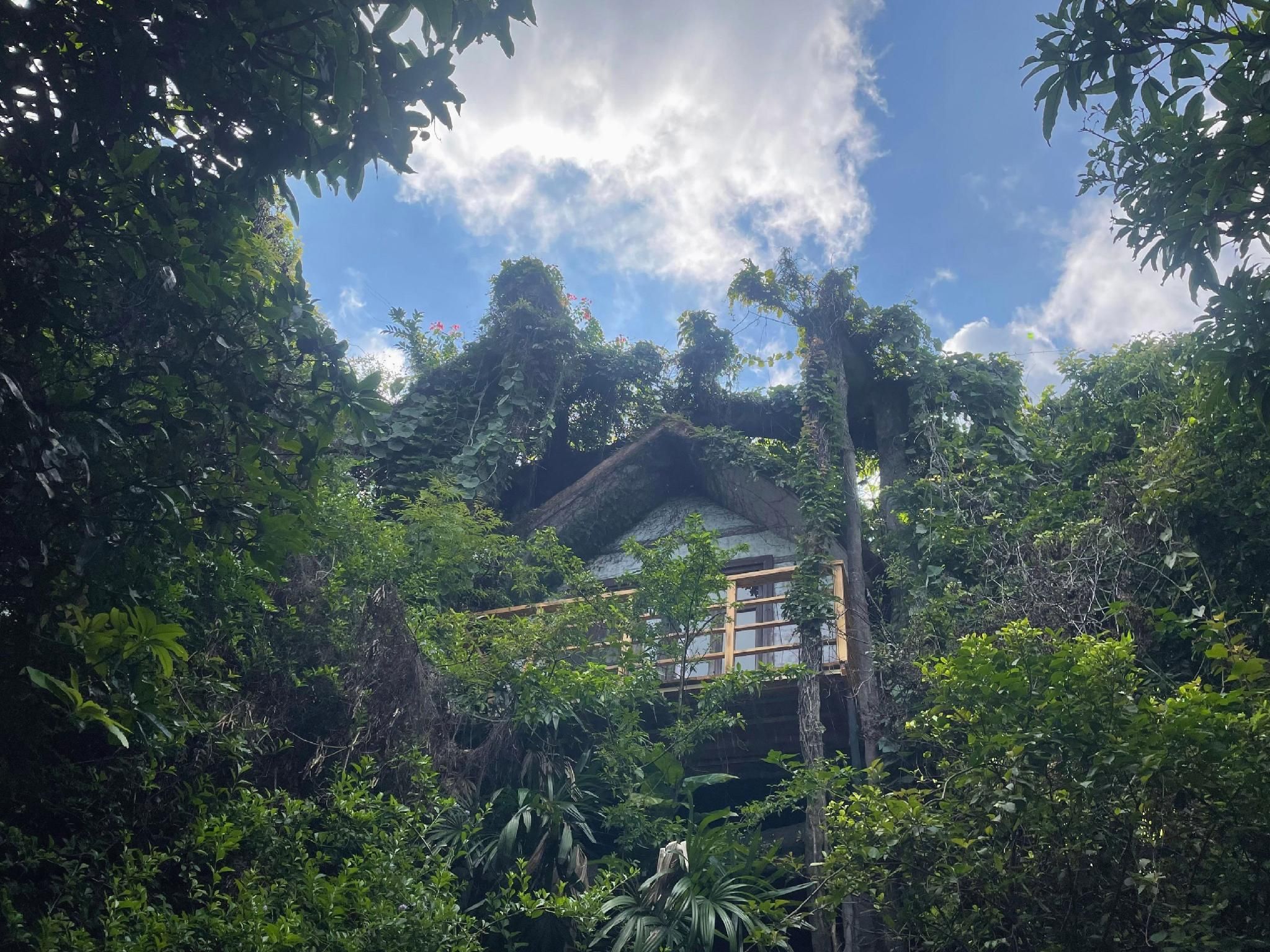 Outdoors view