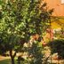 Outdoors view