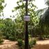 Outdoors view