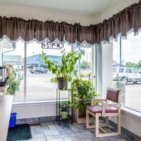 hotels in albany oregon that allow pets