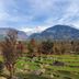 Outdoors view