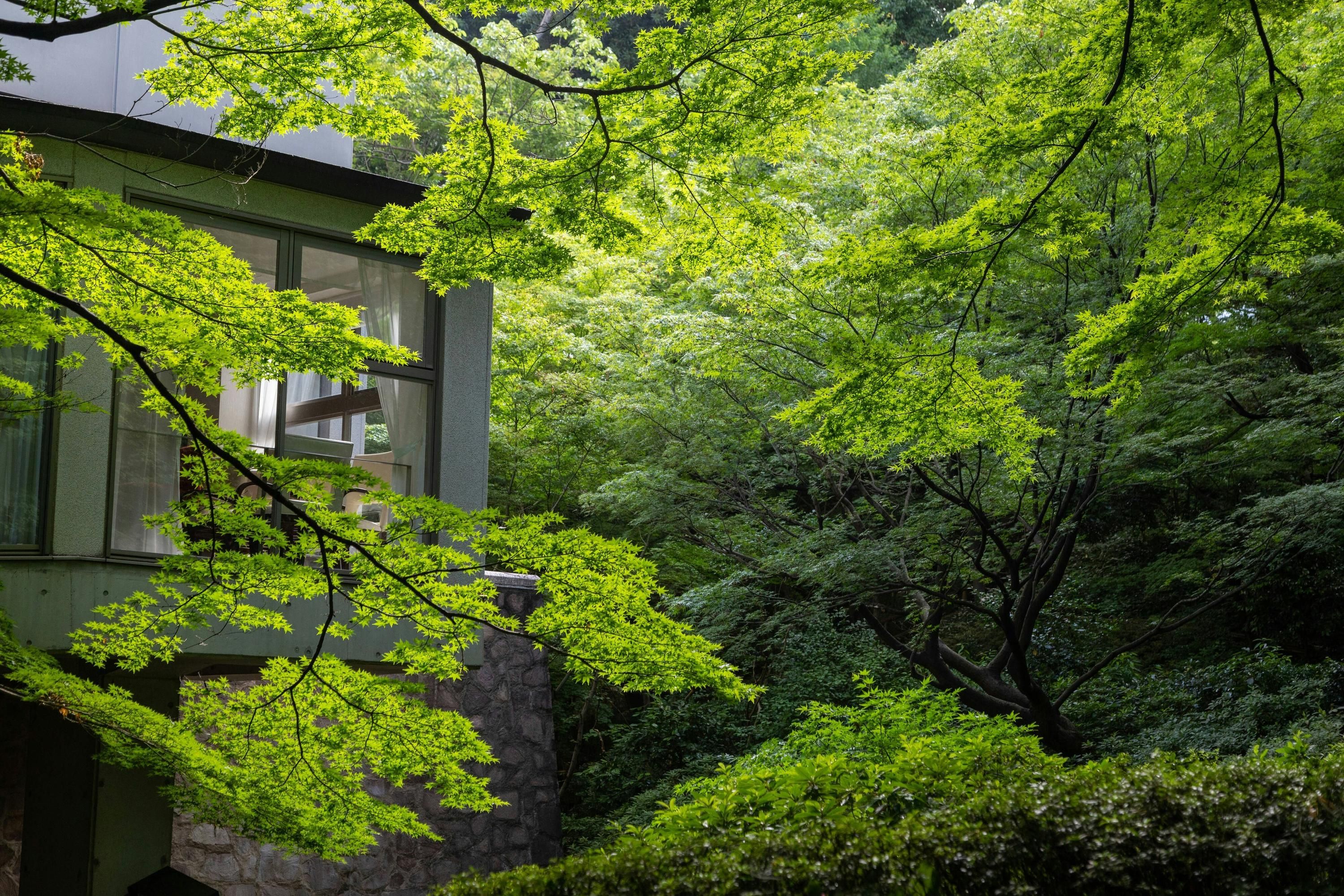 Outdoors view