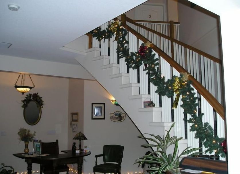 Stairs Photo