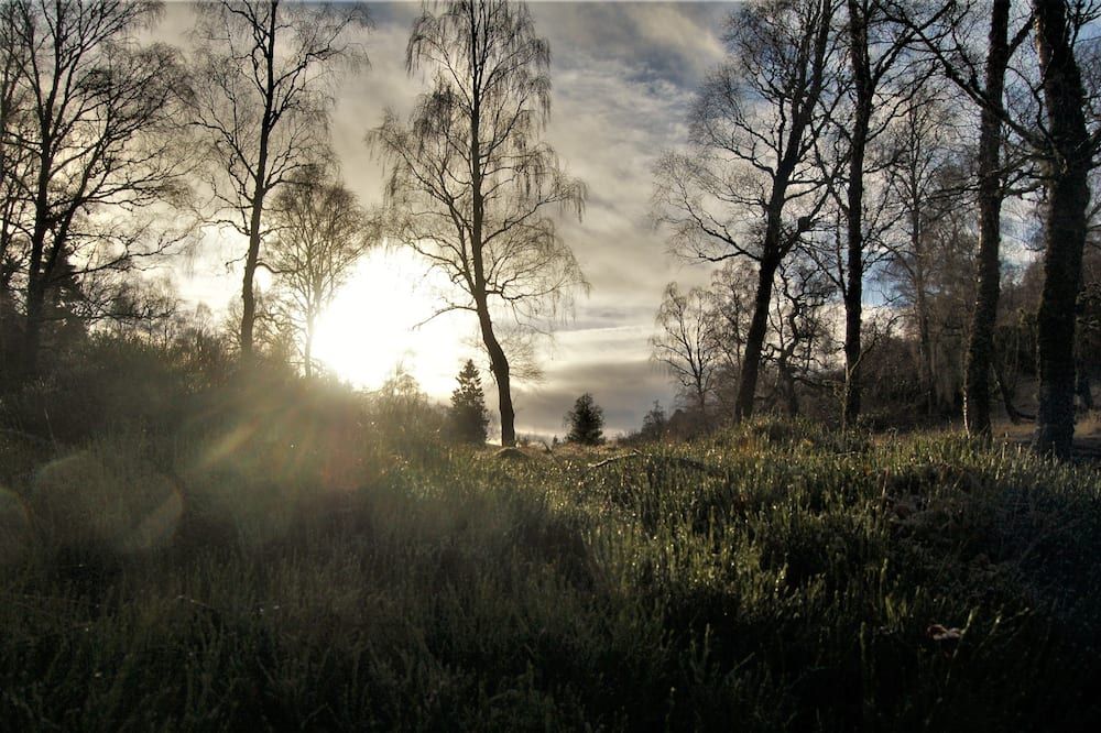 Outdoors view