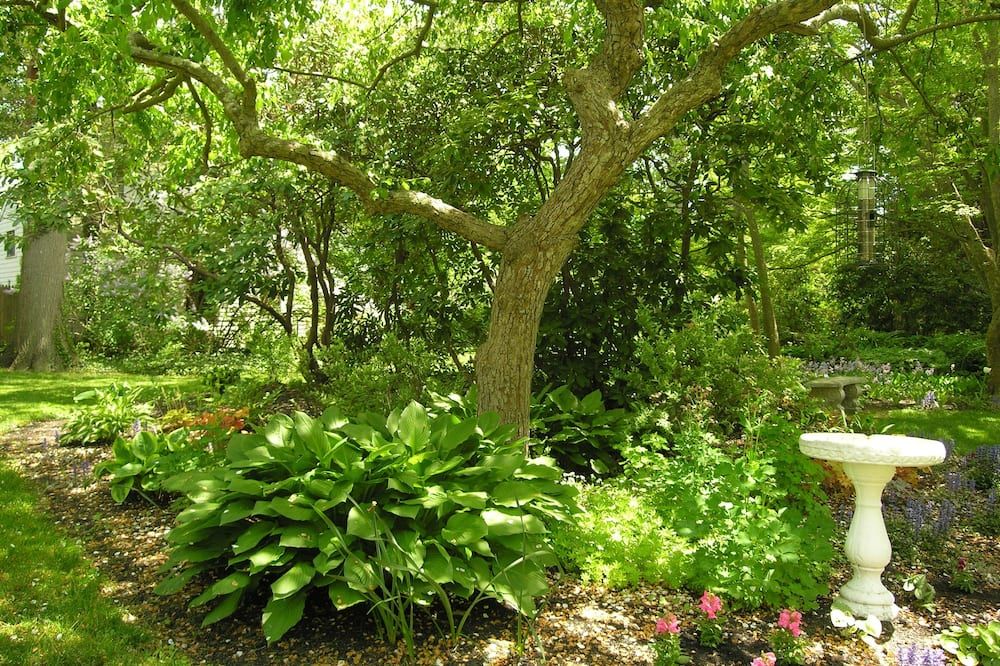 Outdoors view