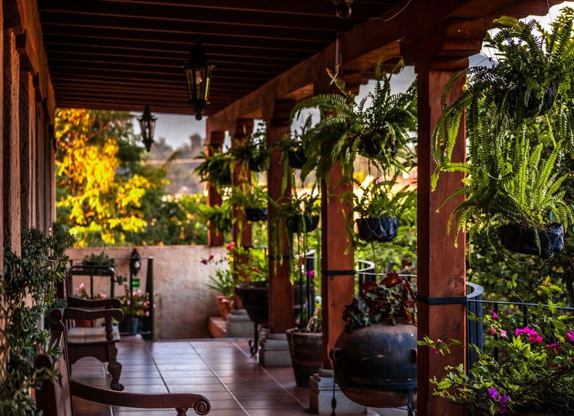 Patio Photo