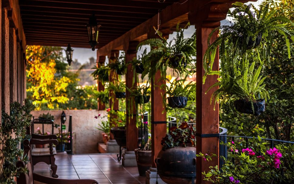Patio Photo